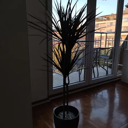 Cosy Comfy And Cost Friendly Belgrade