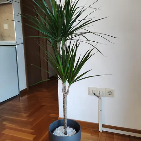 Cosy Comfy And Cost Friendly Belgrade